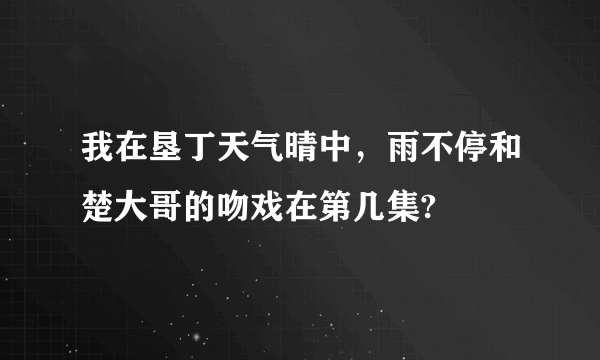 我在垦丁天气晴中，雨不停和楚大哥的吻戏在第几集?