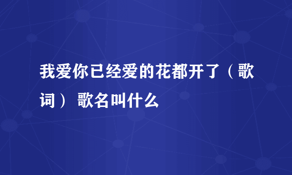 我爱你已经爱的花都开了（歌词） 歌名叫什么