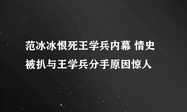 范冰冰恨死王学兵内幕 情史被扒与王学兵分手原因惊人