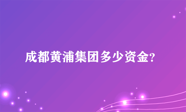 成都黄浦集团多少资金？