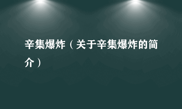 辛集爆炸（关于辛集爆炸的简介）