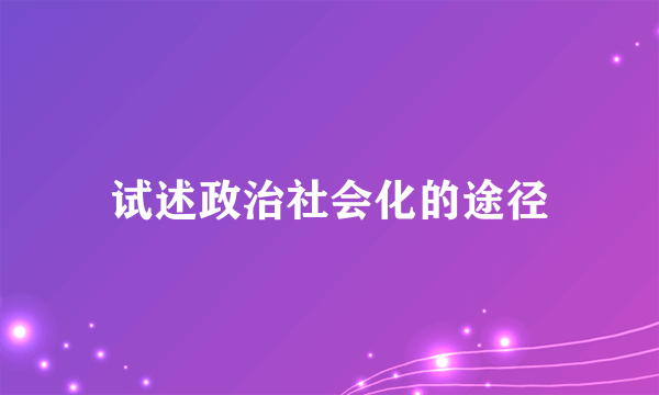 试述政治社会化的途径