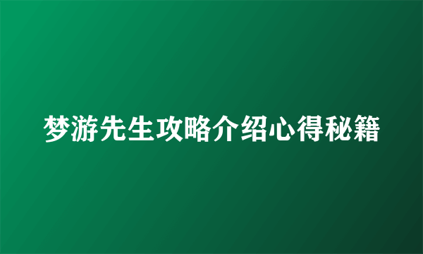 梦游先生攻略介绍心得秘籍