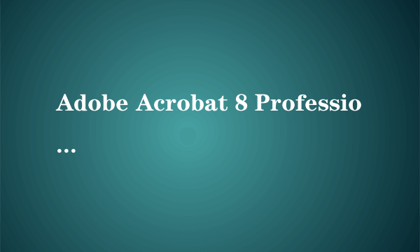 Adobe Acrobat 8 Professional把图片文字转换成word文字使用方法