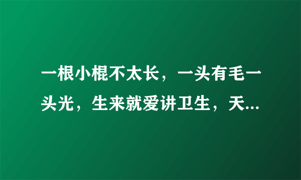 一根小棍不太长，一头有毛一头光，生来就爱讲卫生，天天嘴里跑几趟。  打一