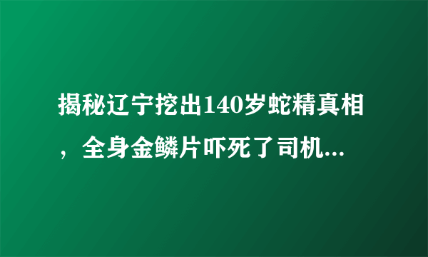 揭秘辽宁挖出140岁蛇精真相，全身金鳞片吓死了司机(是谣言)—飞外