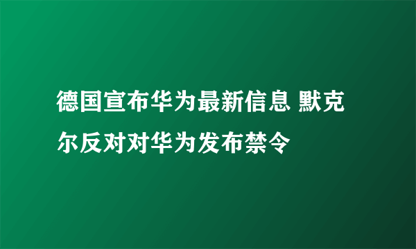 德国宣布华为最新信息 默克尔反对对华为发布禁令