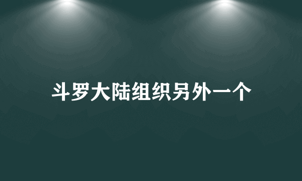 斗罗大陆组织另外一个