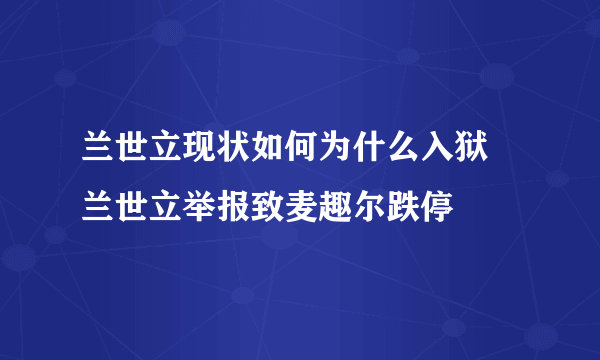 兰世立现状如何为什么入狱 兰世立举报致麦趣尔跌停