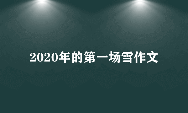 2020年的第一场雪作文