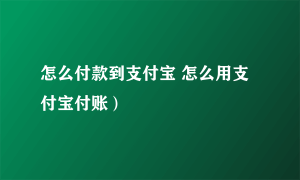 怎么付款到支付宝 怎么用支付宝付账）