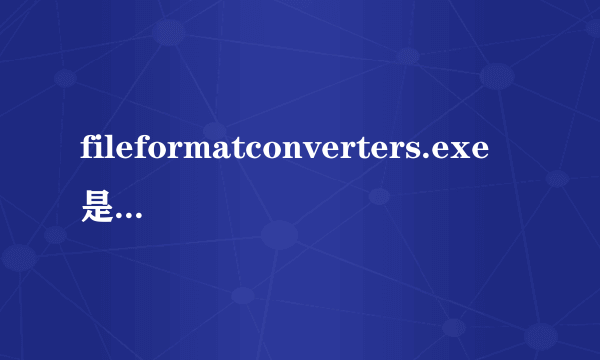 fileformatconverters.exe是什么意思