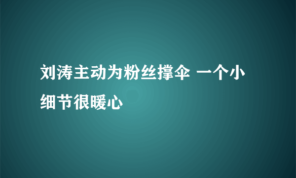 刘涛主动为粉丝撑伞 一个小细节很暖心