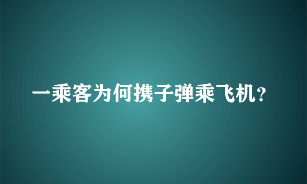 一乘客为何携子弹乘飞机？