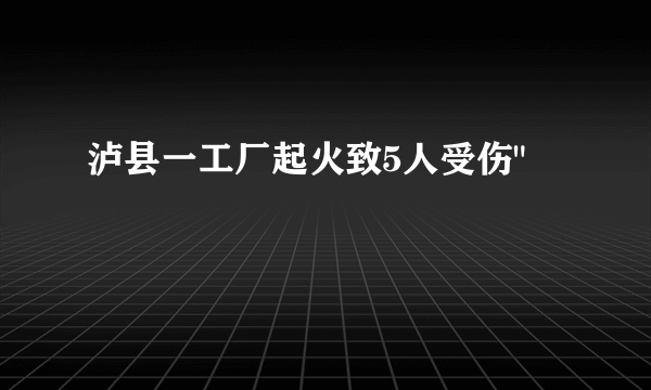 泸县一工厂起火致5人受伤