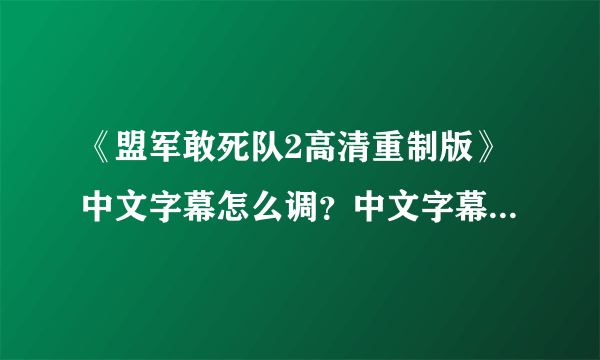 《盟军敢死队2高清重制版》中文字幕怎么调？中文字幕设置方法介绍