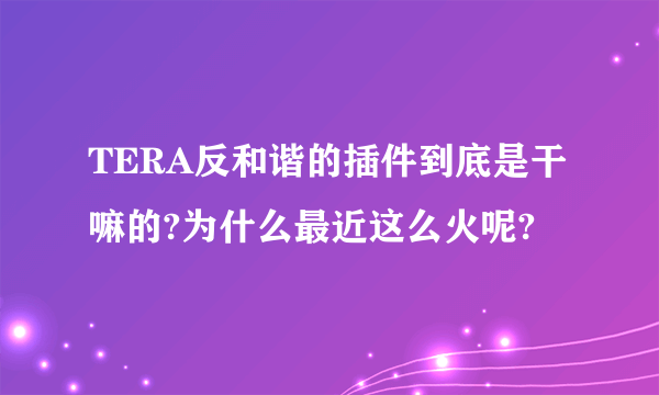 TERA反和谐的插件到底是干嘛的?为什么最近这么火呢?