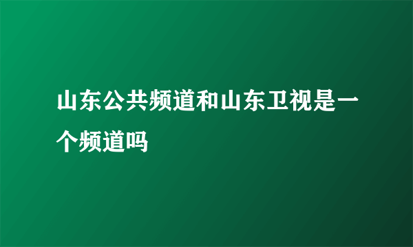 山东公共频道和山东卫视是一个频道吗