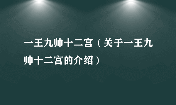 一王九帅十二宫（关于一王九帅十二宫的介绍）