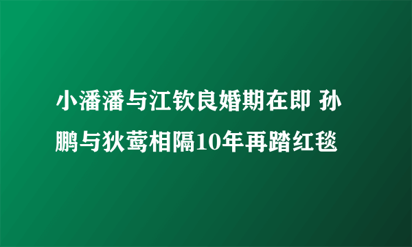 小潘潘与江钦良婚期在即 孙鹏与狄莺相隔10年再踏红毯