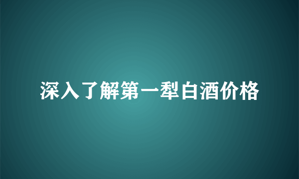 深入了解第一犁白酒价格