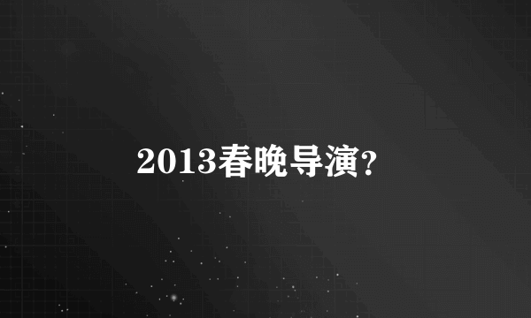 2013春晚导演？