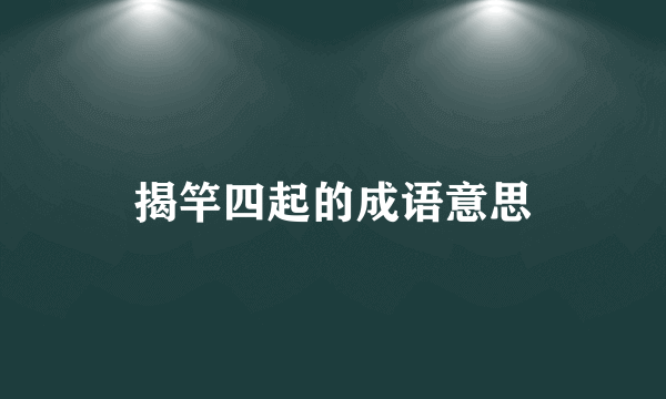 揭竿四起的成语意思