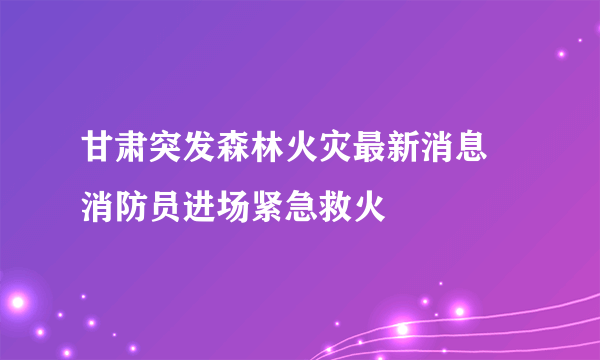 甘肃突发森林火灾最新消息 消防员进场紧急救火