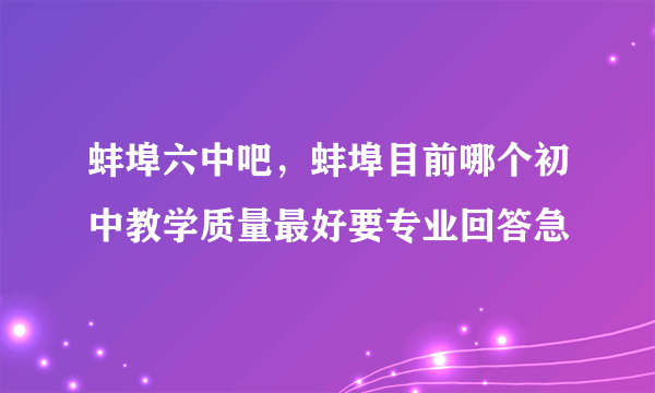 蚌埠六中吧，蚌埠目前哪个初中教学质量最好要专业回答急