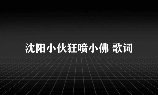 沈阳小伙狂喷小佛 歌词