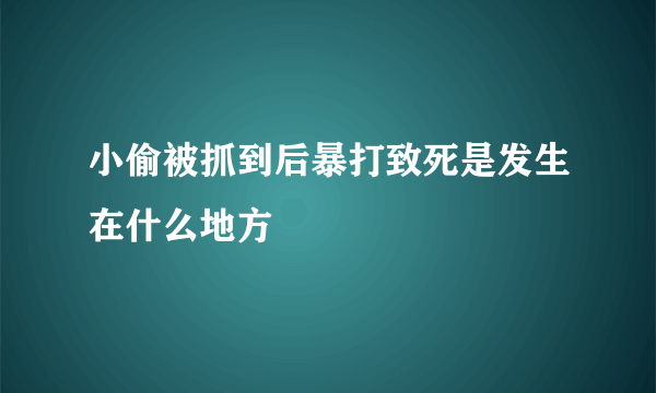 小偷被抓到后暴打致死是发生在什么地方