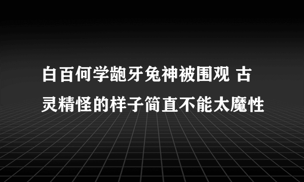 白百何学龅牙兔神被围观 古灵精怪的样子简直不能太魔性