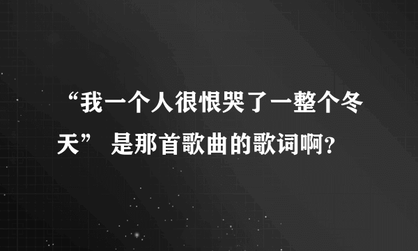 “我一个人很恨哭了一整个冬天” 是那首歌曲的歌词啊？