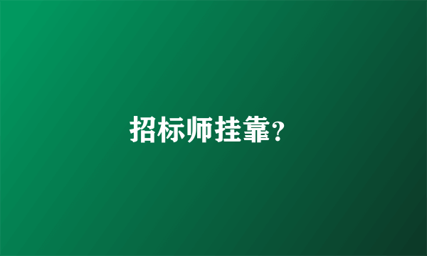 招标师挂靠？