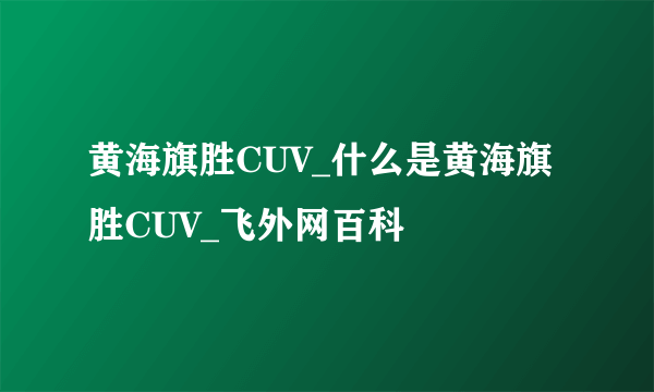 黄海旗胜CUV_什么是黄海旗胜CUV_飞外网百科