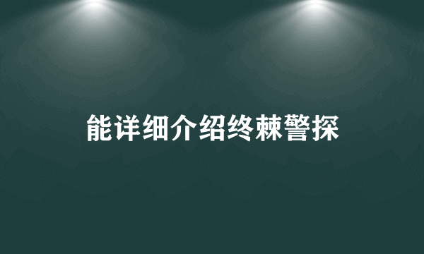 能详细介绍终棘警探