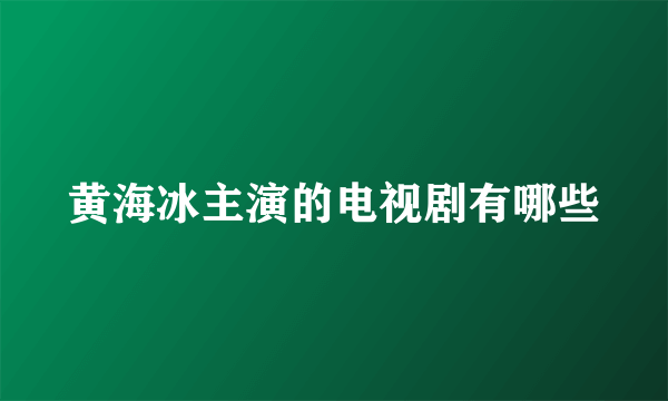 黄海冰主演的电视剧有哪些