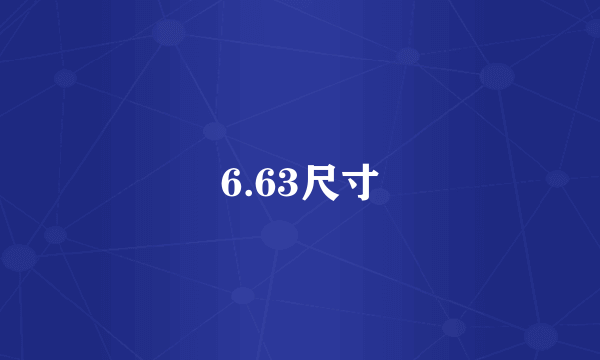 6.63尺寸