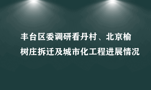 丰台区委调研看丹村、北京榆树庄拆迁及城市化工程进展情况