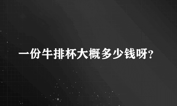 一份牛排杯大概多少钱呀？