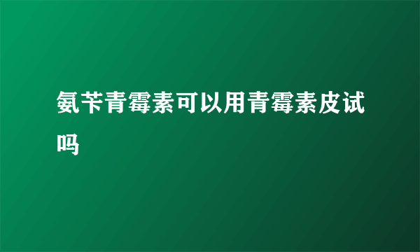 氨苄青霉素可以用青霉素皮试吗