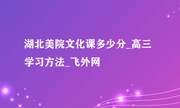 湖北美院文化课多少分_高三学习方法_飞外网