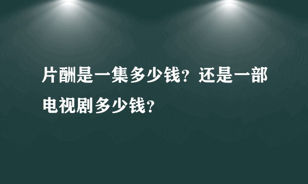 片酬是一集多少钱？还是一部电视剧多少钱？