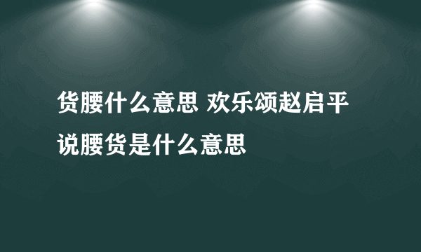 货腰什么意思 欢乐颂赵启平说腰货是什么意思