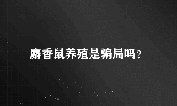 麝香鼠养殖是骗局吗？