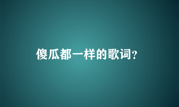 傻瓜都一样的歌词？