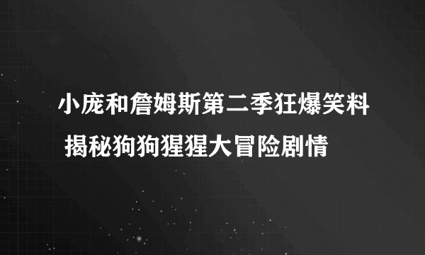 小庞和詹姆斯第二季狂爆笑料 揭秘狗狗猩猩大冒险剧情