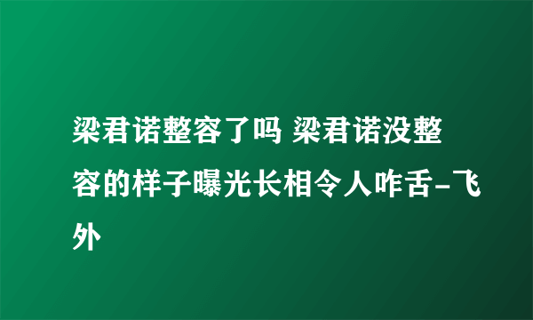 梁君诺整容了吗 梁君诺没整容的样子曝光长相令人咋舌-飞外