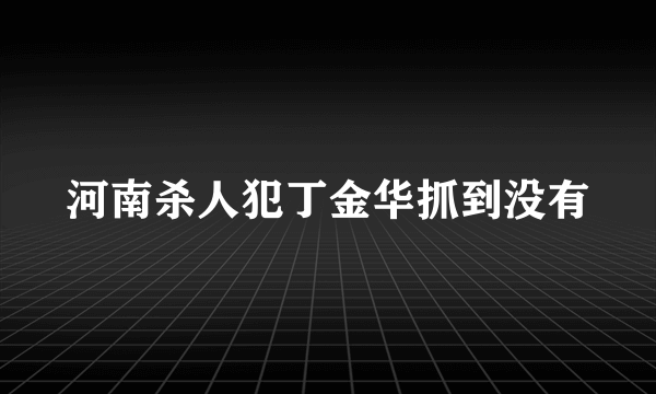 河南杀人犯丁金华抓到没有