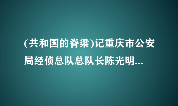 (共和国的脊梁)记重庆市公安局经侦总队总队长陈光明_飞外网